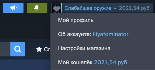 Скриншот Steam: где найти логин